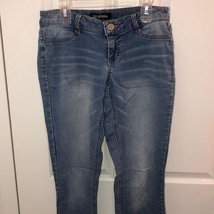 Light Wash Skinny Jeans